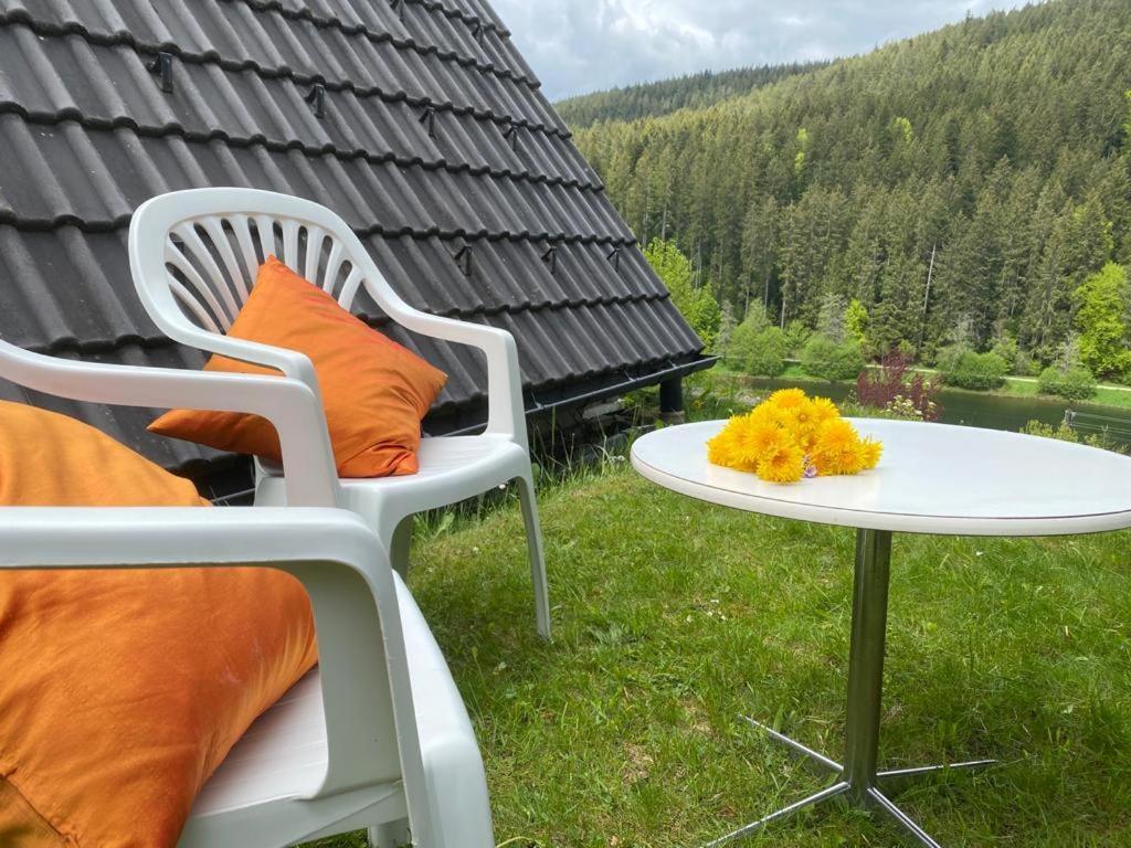 Haus Adler - Komplettes Ferienhaus Am Badesee Erzgrube Екстериор снимка