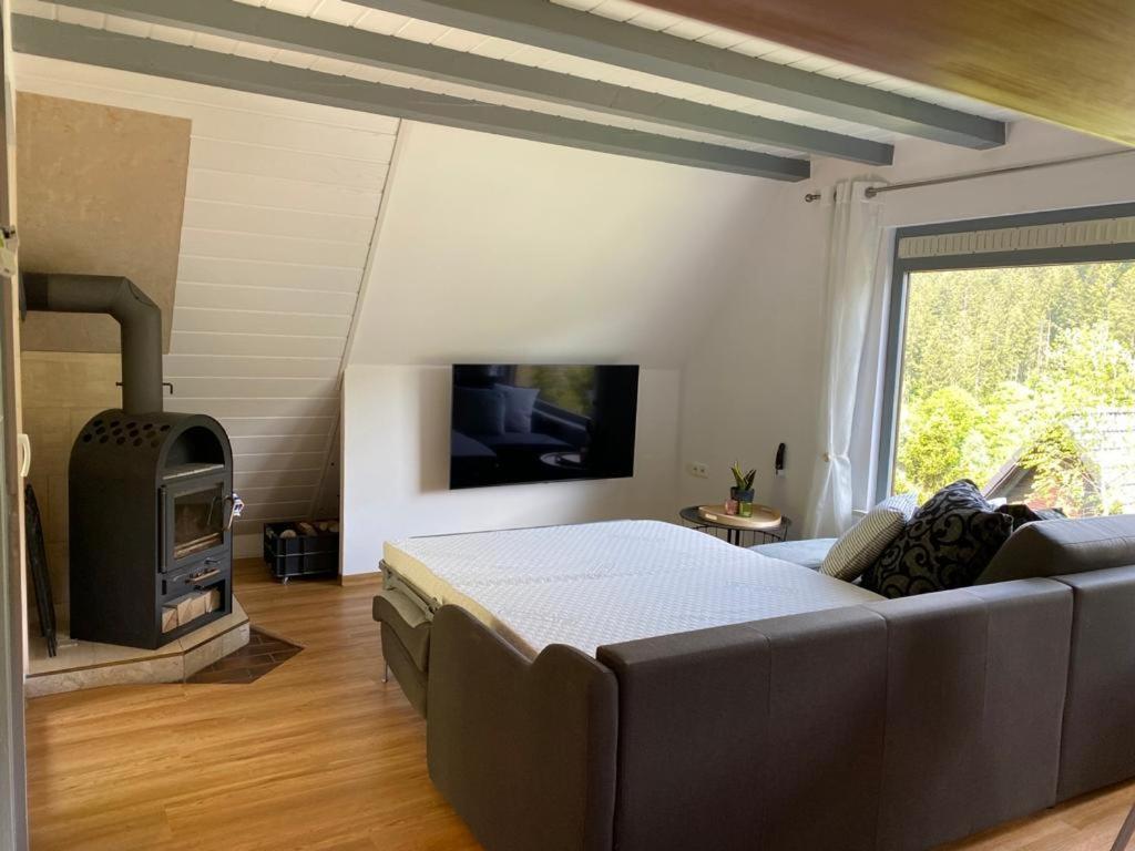 Haus Adler - Komplettes Ferienhaus Am Badesee Erzgrube Екстериор снимка