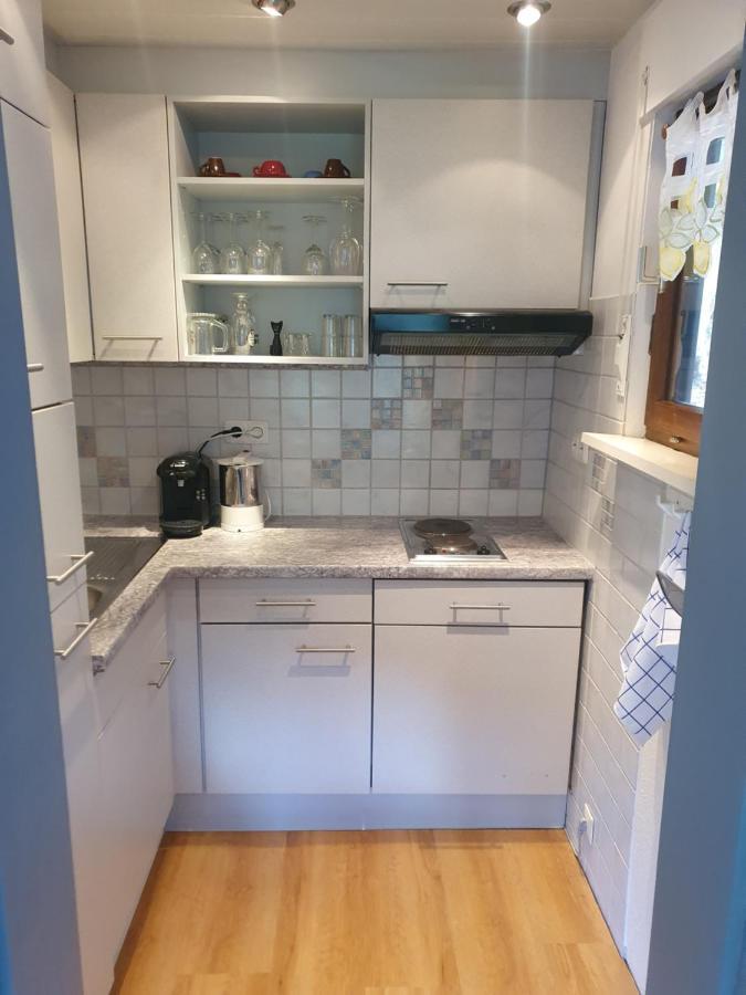 Haus Adler - Komplettes Ferienhaus Am Badesee Erzgrube Екстериор снимка