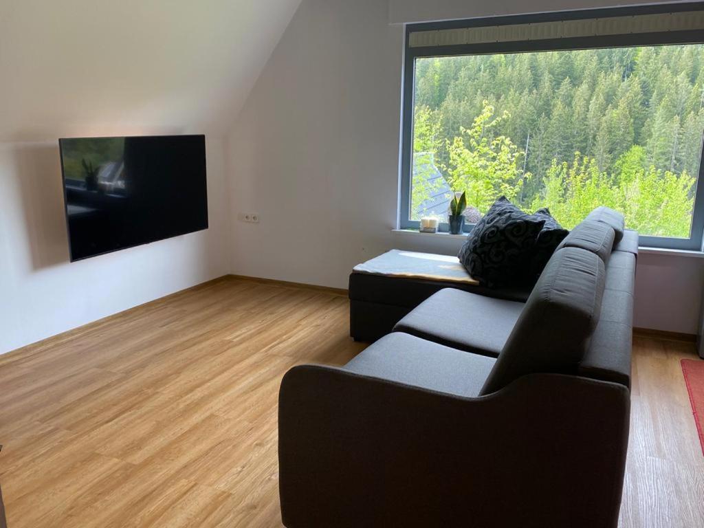 Haus Adler - Komplettes Ferienhaus Am Badesee Erzgrube Екстериор снимка