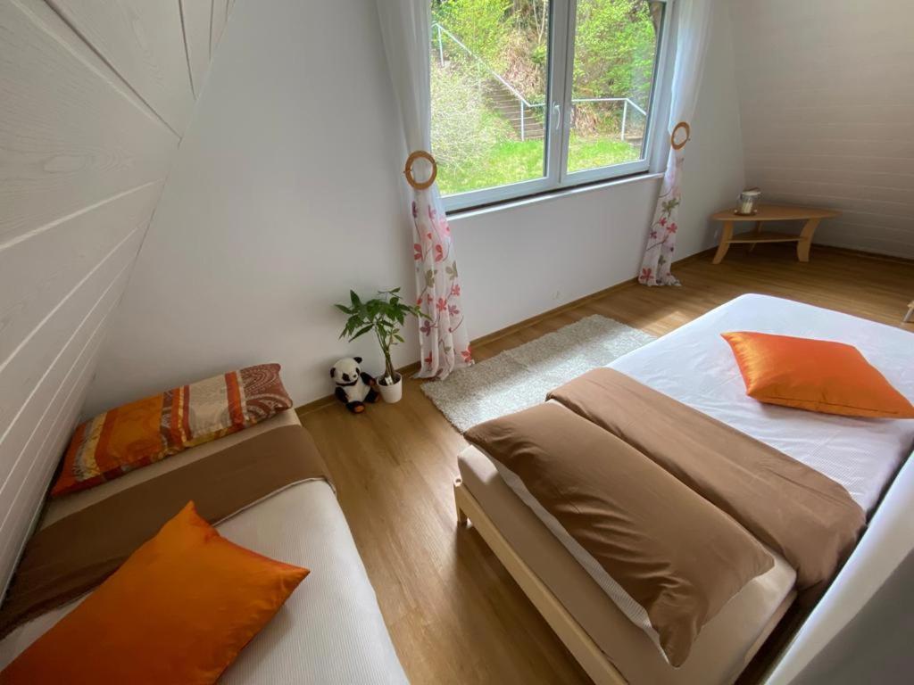 Haus Adler - Komplettes Ferienhaus Am Badesee Erzgrube Екстериор снимка